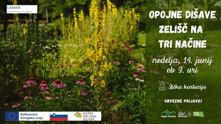Opojne dišave zelišč na tri načine, 14. 6. 2026